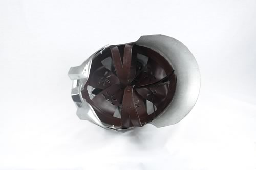 Gladiator Helmet with Wooden Display Stand