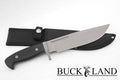Buckland 'Fixed V1'