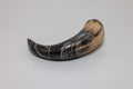 Natural Drinking Horn - Huginn and Muninn Design