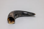 Natural Drinking Horn – Norse Compass and Knotwork Design