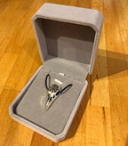 Bird Skull Pendant in Box