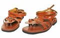Roman Boots or Sandals