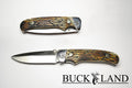 Buckland "Woodsman's Choice" Lock Knife