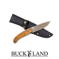 Buckland Bush Scout