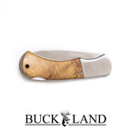 Buckland Burlwood