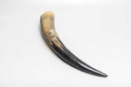 Eternity Horn