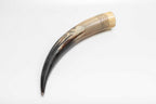 Eternity Horn