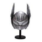 Helmet 1