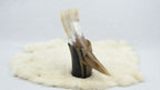 Genuine Horn Drinking Horn with Genuine Horn Table Stand