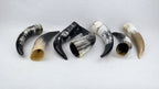 Genuine Horn Drinking Horn with Leather Belt Frog