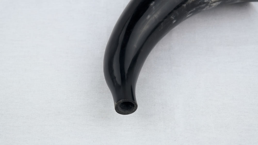 Blowing Horn Bugle with All Accessories