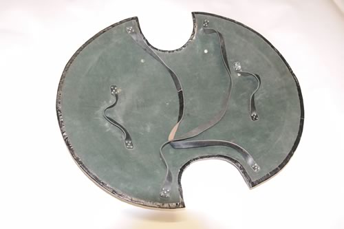 Troy Shield