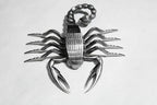  Scorpion on Plaque