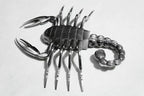  Scorpion on Plaque