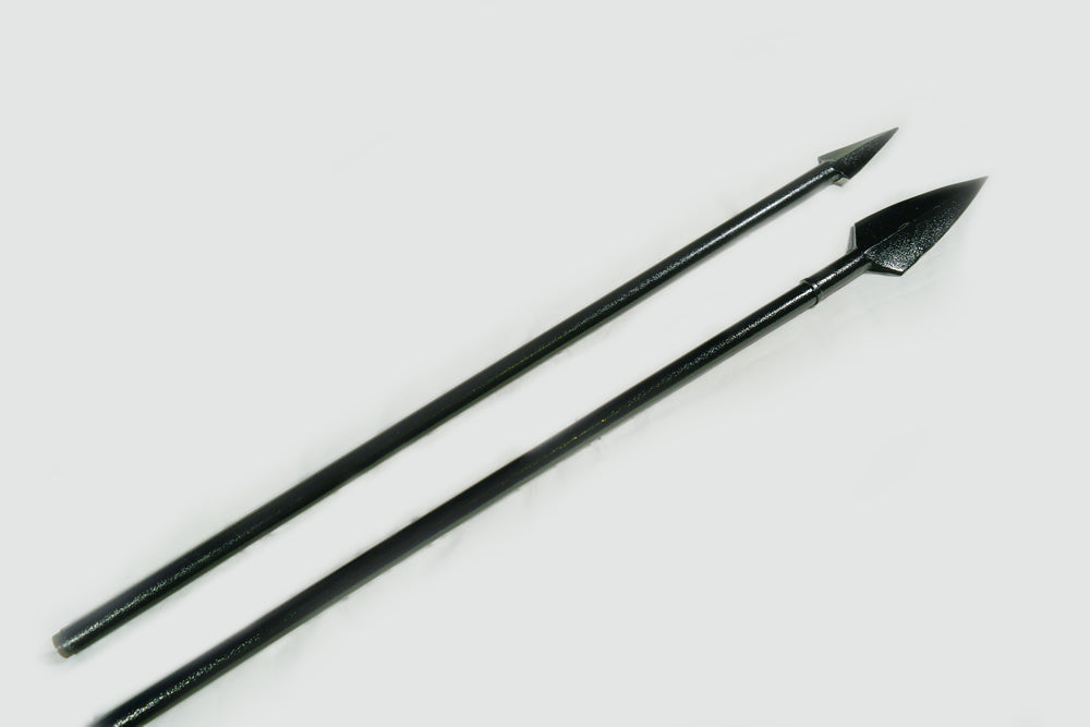 Spear of Leonidas