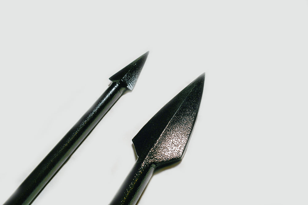Spear of Leonidas