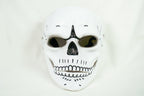 Skeleton Mask