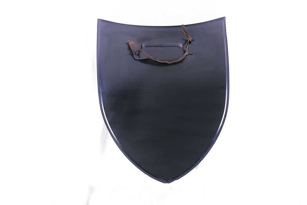 Lion Rampant Shield