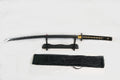 New Katana 5