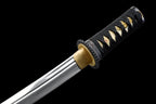 'Itsukushima' Handforged Tanto in 1095