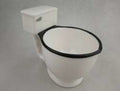 Toilet Mug