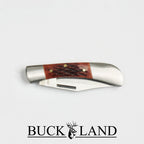 Buckland "The Rancher"