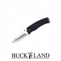 Buckland G4
