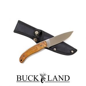 Buckland Bush Scout