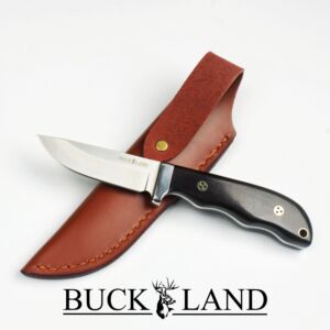 Buckland 'The Forager'